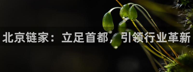 新5宝：北京链家：立足首都，引领行业革新