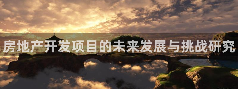 新宝5网站：房地产开发项目的未来发展与挑战研究