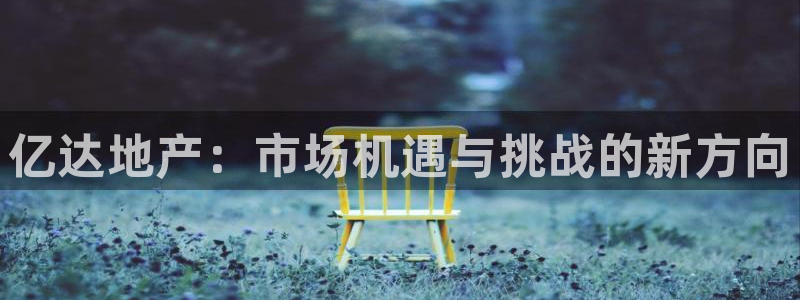 新宝股东王听2 5 5：亿达地产：市场机遇与挑战的新方向