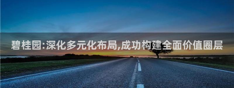 新宝5系列：碧桂园:深化多元化布局,成功构建全面价值圈层