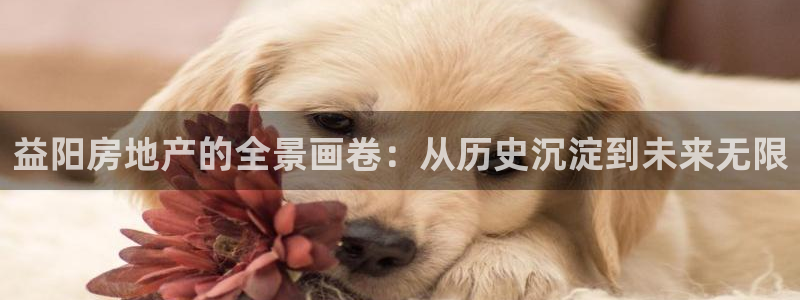 新宝5注册首页：益阳房地产的全景画卷：从历史沉淀到未来无限