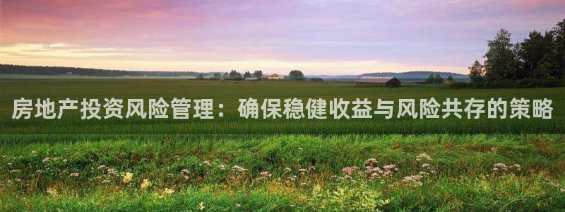 新宝rm5：房地产投资风险管理：确保稳健收益与风险共存的策略