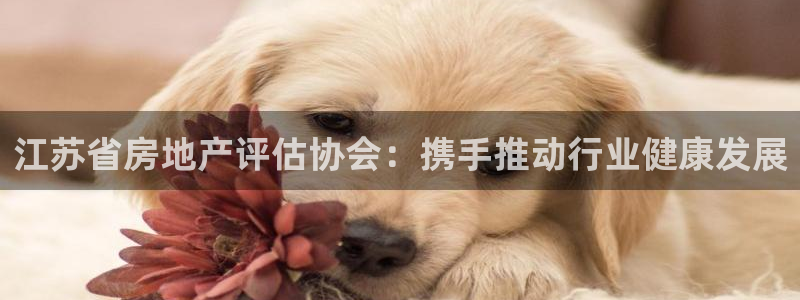 新宝cR一5：江苏省房地产评估协会：携手推动行业健康发展