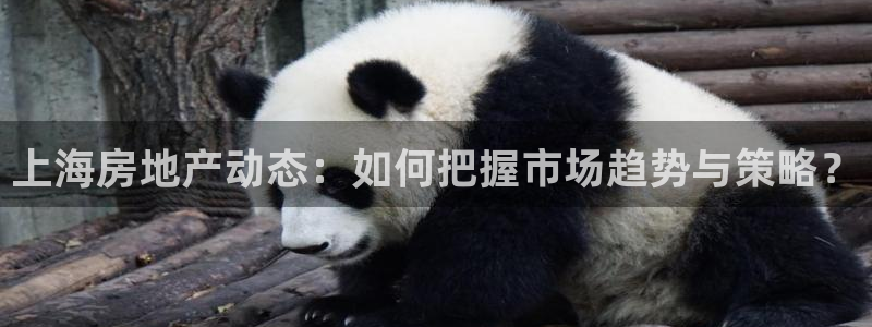 新宝5测速登陆：上海房地产动态：如何把握市场趋势与策略？