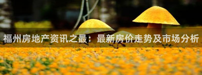 新宝5什么时候上市：福州房地产资讯之最：最新房价走势及市场分
