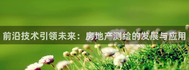 新宝5娱乐都：前沿技术引领未来：房地产测绘的发展与应用