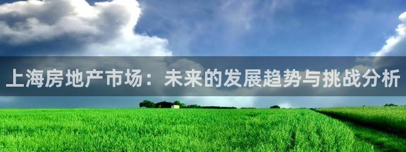 新宝5平台霸：上海房地产市场：未来的发展趋势与挑战分析