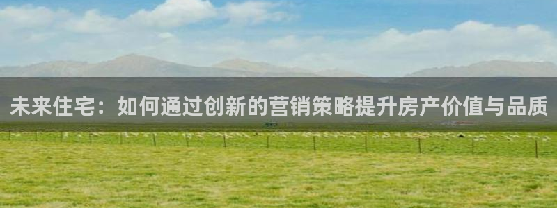 新宝5上70 667：未来住宅：如何通过创新的营销策略提升房