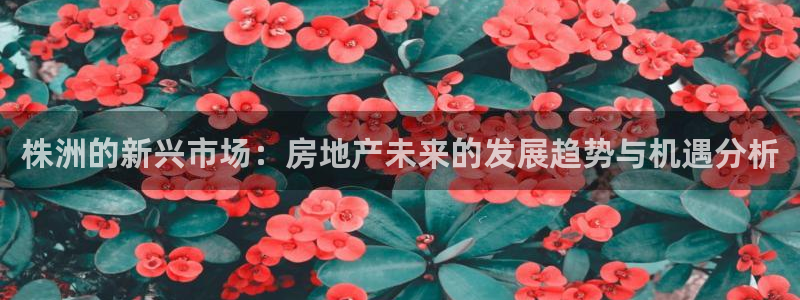 新宝5下载到桌面：株洲的新兴市场：房地产未来的发展趋势与机遇