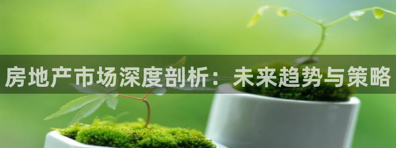 新宝5电脑登录网址：房地产市场深度剖析：未来趋势与策略