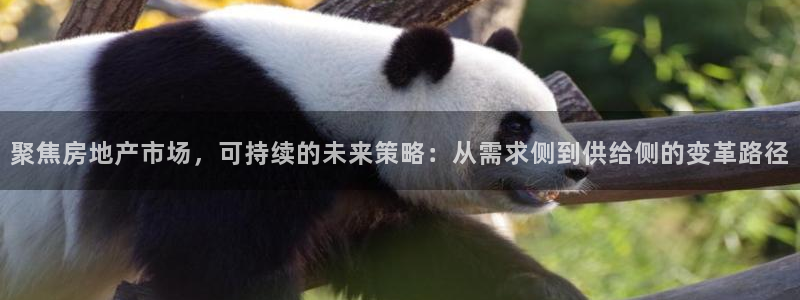 新宝5开户：聚焦房地产市场，可持续的未来策略：从需求侧到供给