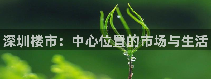 新宝5娱乐方：深圳楼市：中心位置的市场与生活