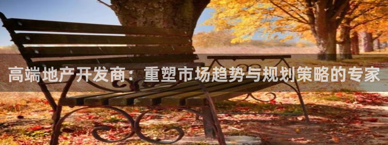 新宝5月：高端地产开发商：重塑市场趋势与规划策略的专家