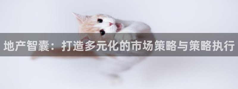 新宝5：地产智囊：打造多元化的市场策略与策略执行