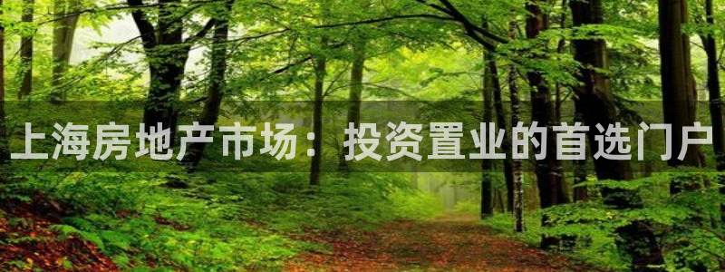 新宝5总代：上海房地产市场：投资置业的首选门户
