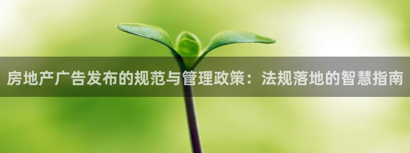 新宝5登录：房地产广告发布的规范与管理政策：法规落地的智慧指