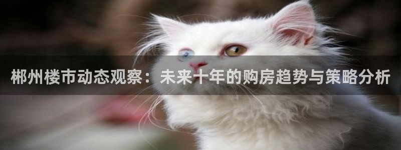 皇冠新宝5：郴州楼市动态观察：未来十年的购房趋势与策略分析
