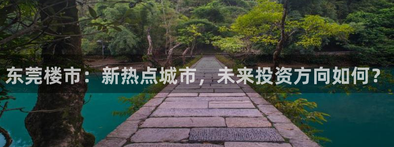 新宝5日谢29999：东莞楼市：新热点城市，未来投资方向如何