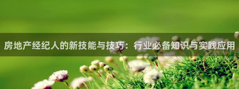 2022新宝骏rs 5：房地产经纪人的新技能与技巧：行业必备