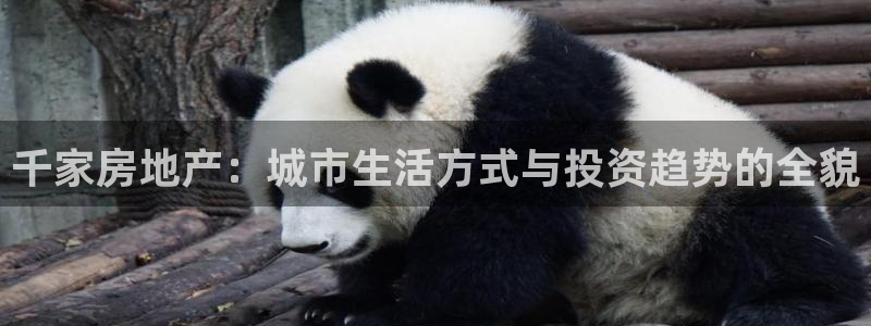 新宝5是什么样子的：千家房地产：城市生活方式与投资趋势的全貌