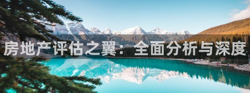 新宝5登录地址：房地产评估之翼：全面分析与深度