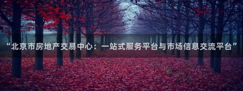 新宝5直属：“北京市房地产交易中心：一站式服务平台与市场信息