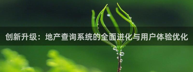 新宝5客户端登录：创新升级：地产查询系统的全面进化与用户体验