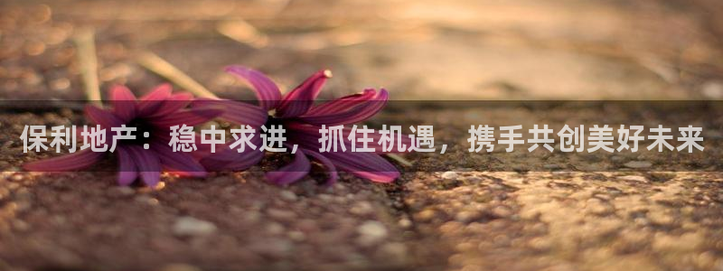 新宝注5册：保利地产：稳中求进，抓住机遇，携手共创美好未来