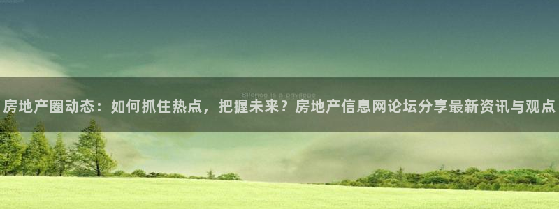 新宝堂新会陈皮5年：房地产圈动态：如何抓住热点，把握未来？房