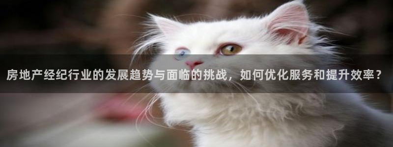 新宝5下载测试：房地产经纪行业的发展趋势与面临的挑战，如何优