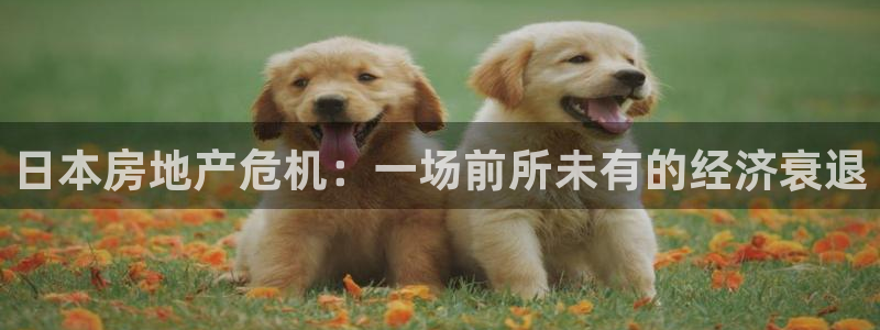 新宝5平台注册资金：日本房地产危机：一场前所未有的经济衰退