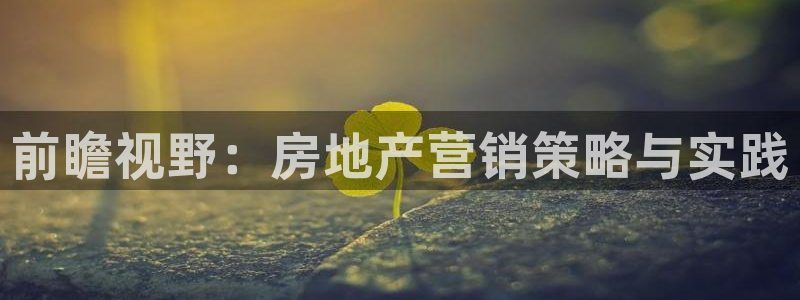 新宝5娱乐注：前瞻视野：房地产营销策略与实践