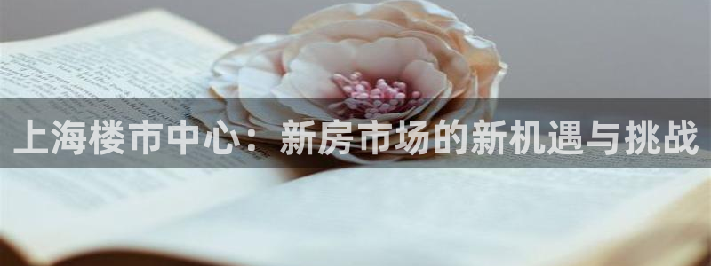 老新宝5授权登录：上海楼市中心：新房市场的新机遇与挑战