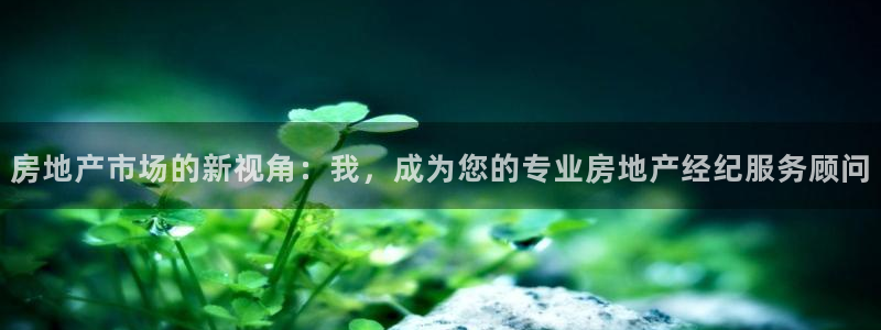 新宝5开好：房地产市场的新视角：我，成为您的专业房地产经纪服