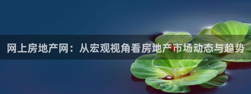 新宝5在哪里：网上房地产网：从宏观视角看房地产市场动态与趋势