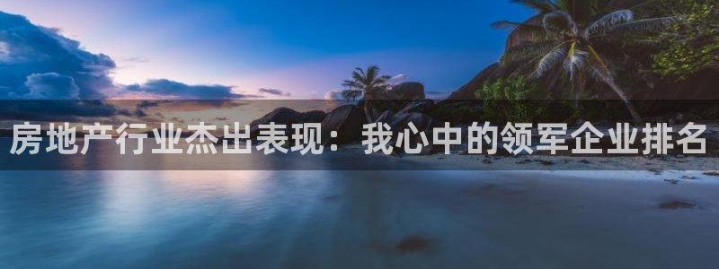 新宝3得74OO5：房地产行业杰出表现：我心中的领军企业排名