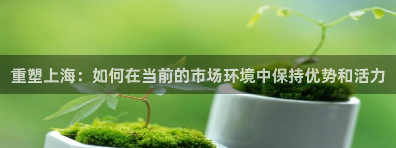 新宝5尤74OOO5：重塑上海：如何在当前的市场环境中保持优