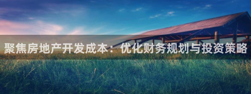 新宝5 测速：聚焦房地产开发成本：优化财务规划与投资策略