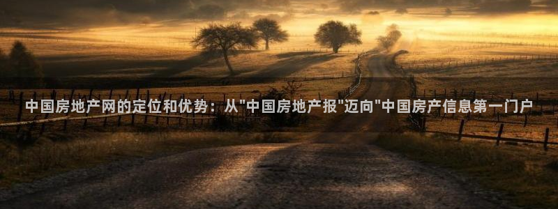 新宝5日740005蔻：中国房地产网的定位和优势：从\