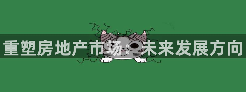 新宝那2O5O5O：重塑房地产市场：未来发展方向