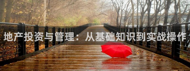 新宝5天：地产投资与管理：从基础知识到实战操作