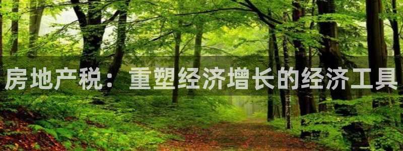 新宝5下载软件：房地产税：重塑经济增长的经济工具
