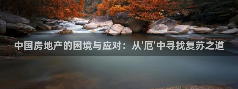 新宝5手机版登录：中国房地产的困境与应对：从\'厄\'中寻找