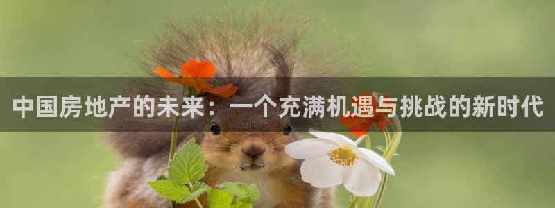 新宝 5测速：中国房地产的未来：一个充满机遇与挑战的新时代