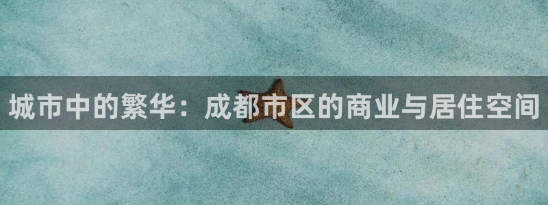 新宝5官网app：城市中的繁华：成都市区的商业与居住空间