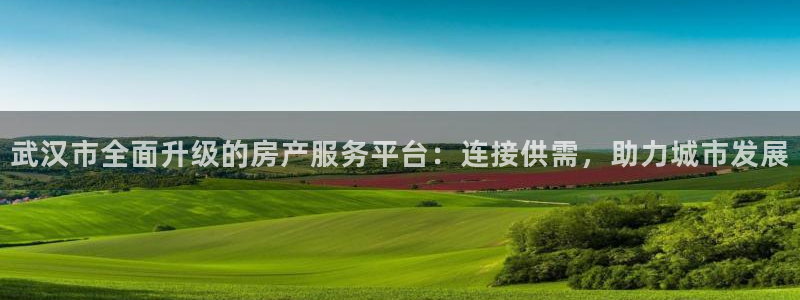 新宝5现在还能玩吗