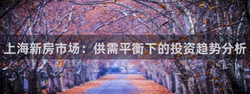 新宝rc_5w：上海新房市场：供需平衡下的投资趋势分析