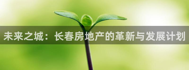 新宝5什么时候上市