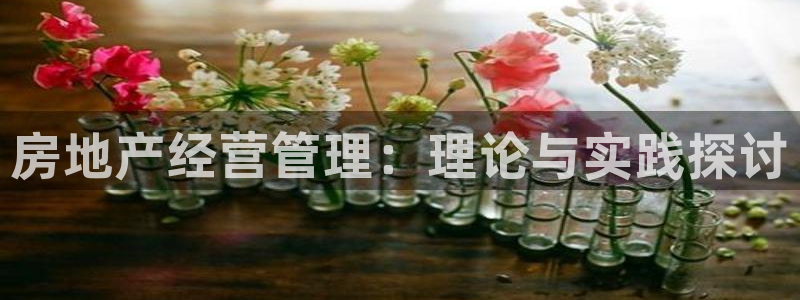 新宝5下载app：房地产经营管理：理论与实践探讨