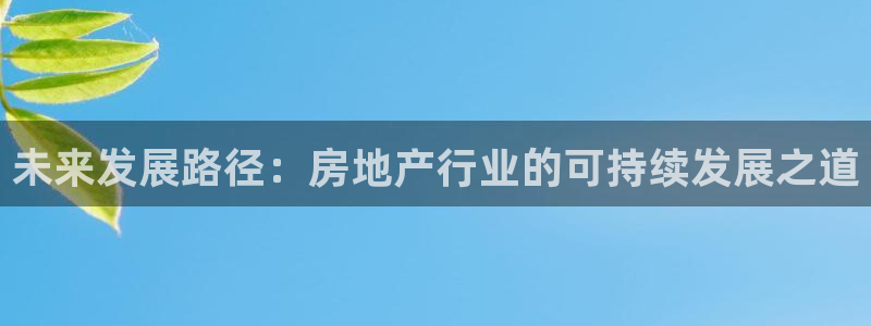 新宝5平棋牌：未来发展路径：房地产行业的可持续发展之道